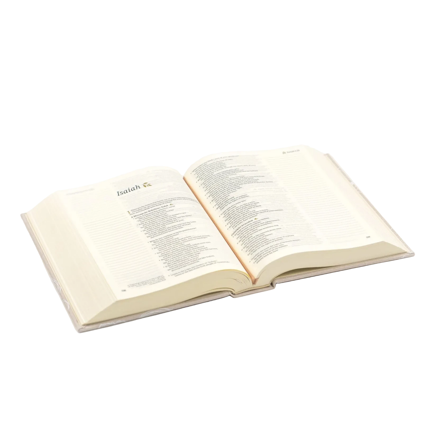 NLT Notetaking Bible | Cordova Theme