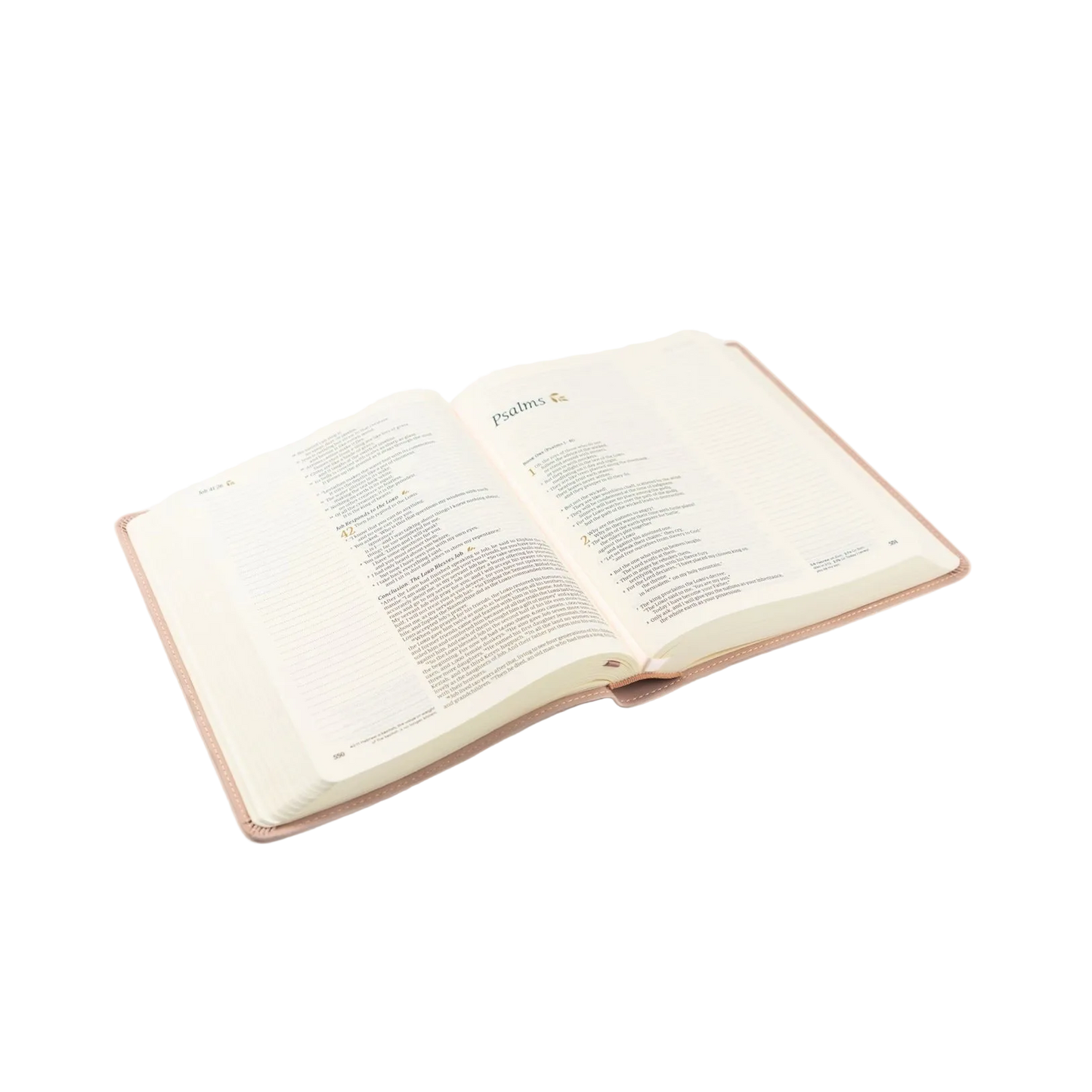 NLT Notetaking Bible | Shiloh Theme