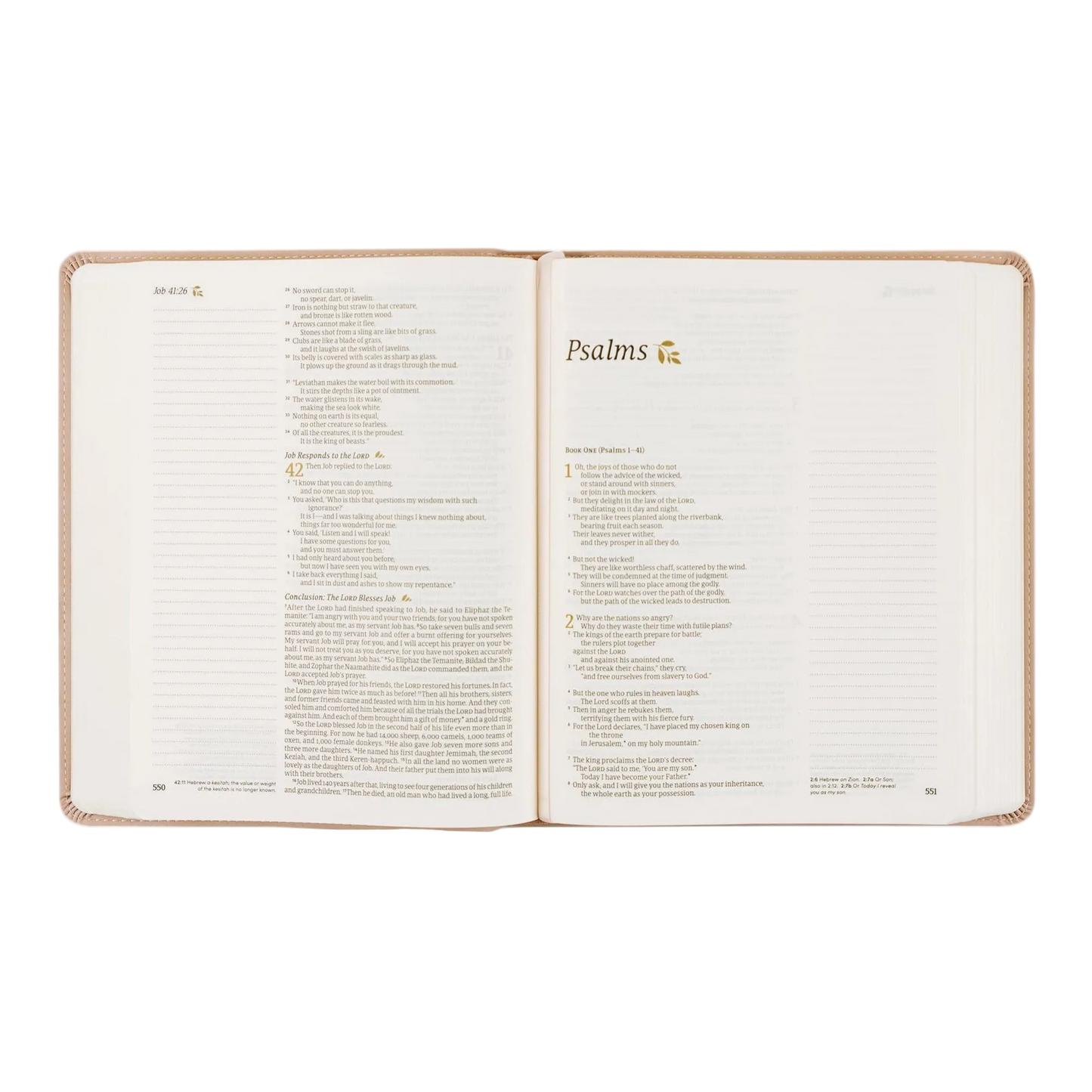 NLT Notetaking Bible | Shiloh Theme