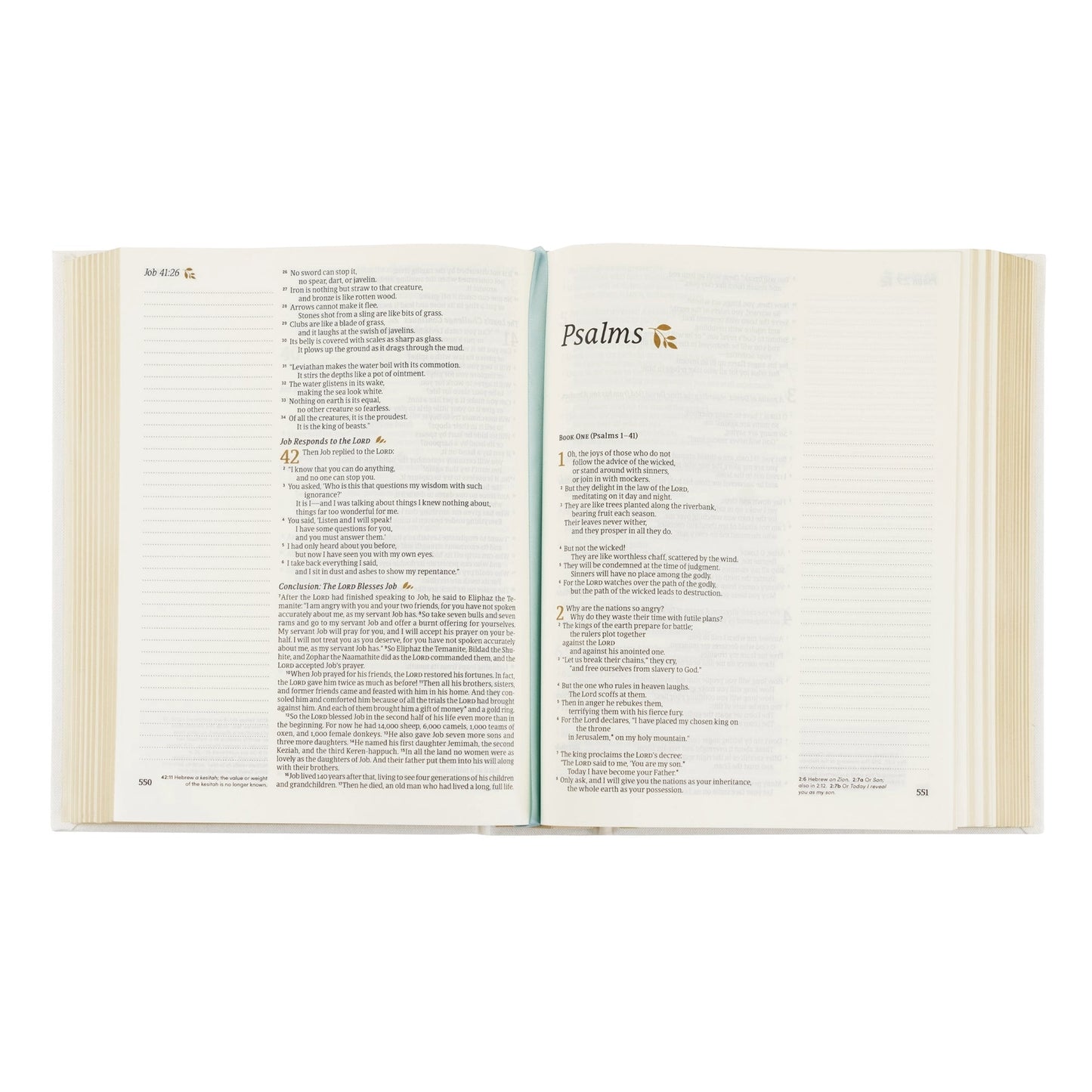 NLT Notetaking Bible | Lisbon Theme